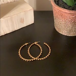Stella and dot brushed gold hoop earrings